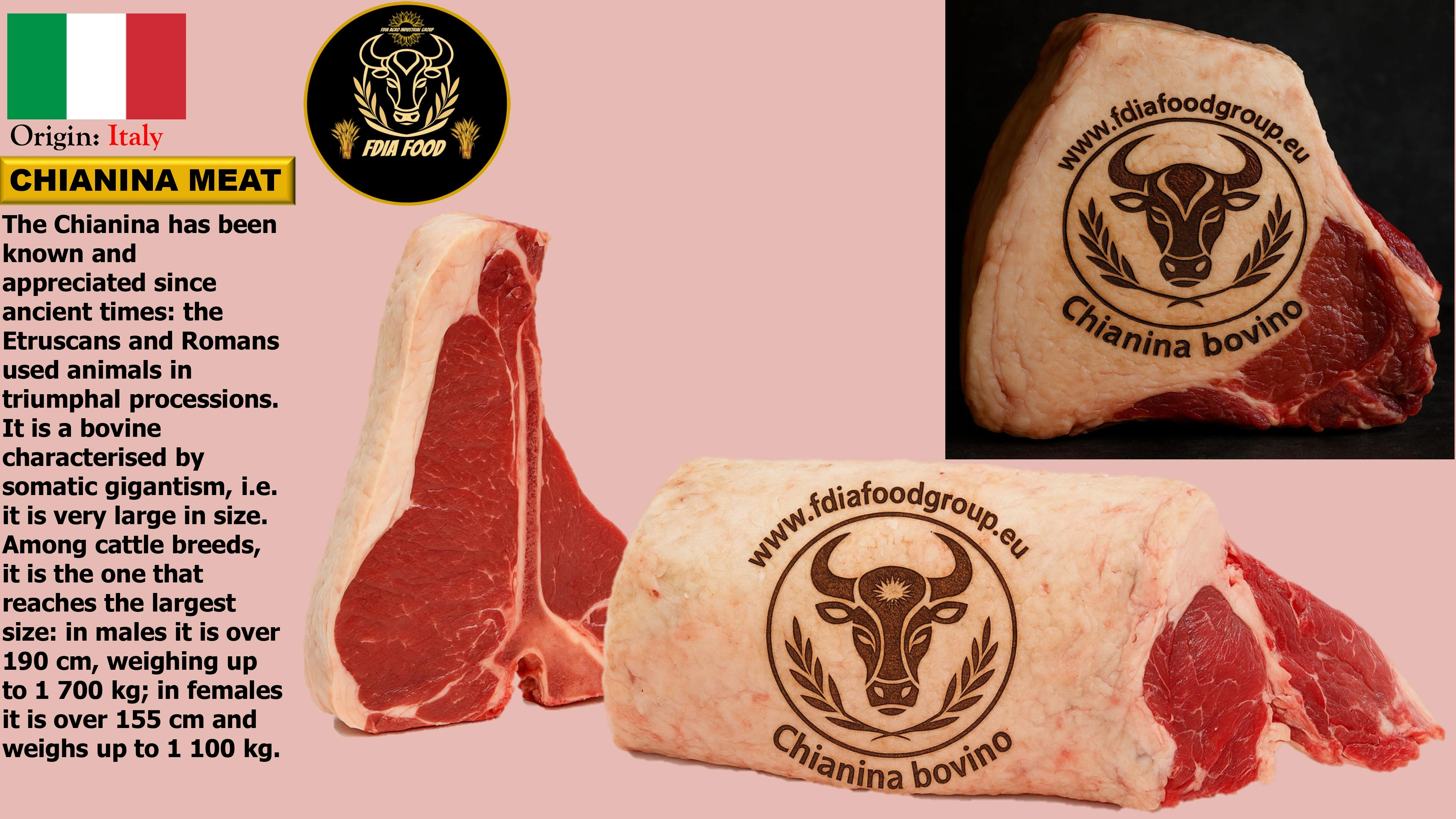 meat (15)
